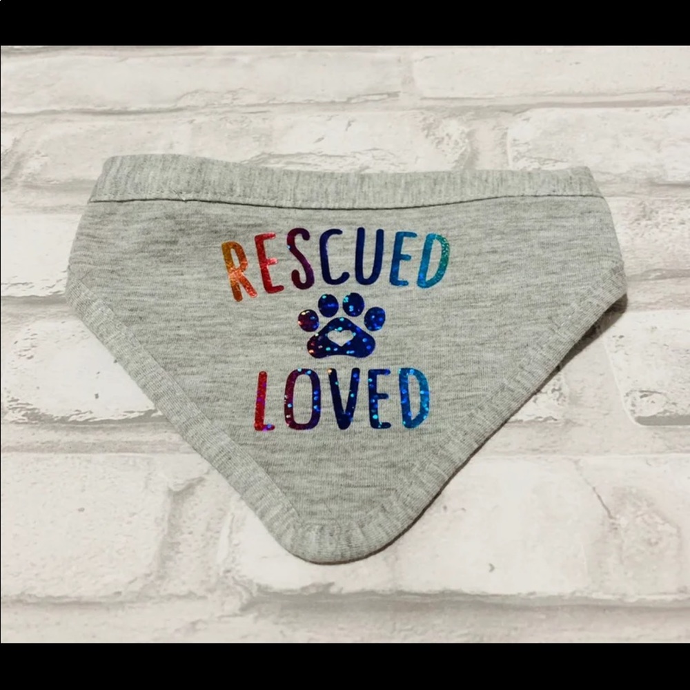 Holographic pet bandana